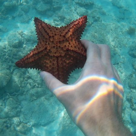Hotel Pedernales Italia Republica Dominicana Экстерьер фото
